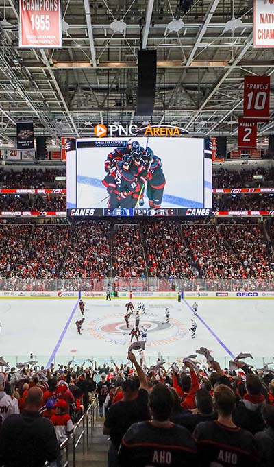 Canes Goal Celebration